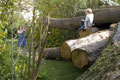 Click to see it big Impression aus dem Atelier
